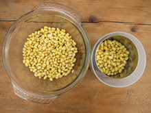 soyabella guide laits vegetaux yaourts soja yaourt lait soja soyabella