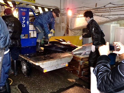 Tsukiji Ichiba: Tuna