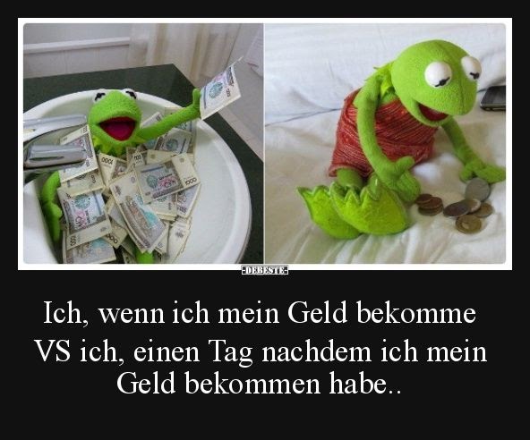 Kermit Der Frosch Lustige Bilder Deutsch