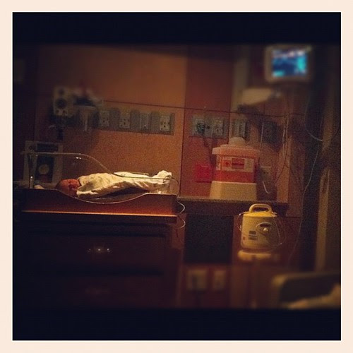 {Day 26: Night} Nighttime view (early morning) of our current digs. Someone likes the VIP treatment! #febphotoaday