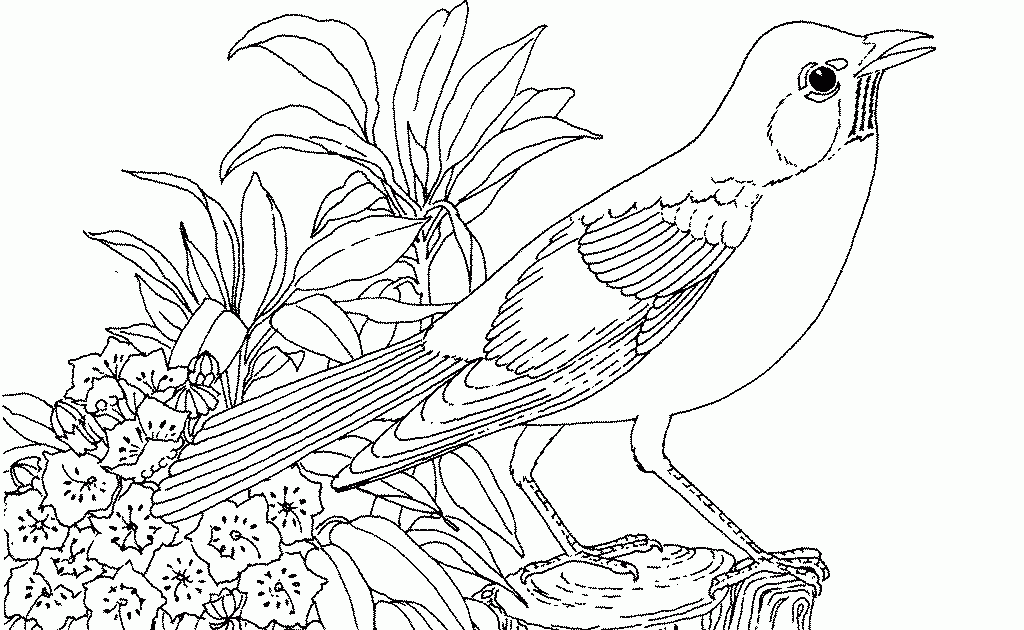 Coloring Page Garden - Coloring Page Book Free Download