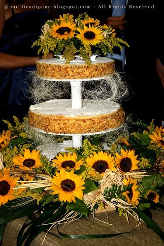 torta di girasoli