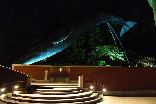 Blue whale outside the National Museum of Nature and Science, Tokyo