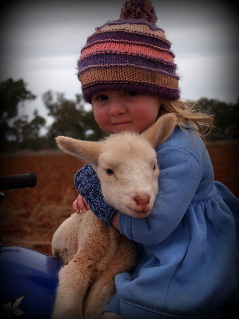 lambs 2