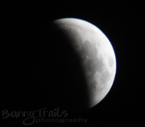 lunar eclipse-1-crop