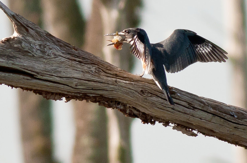 Photo & Video Sharing by SmugMug Photo & Video Sharing by SmugMug