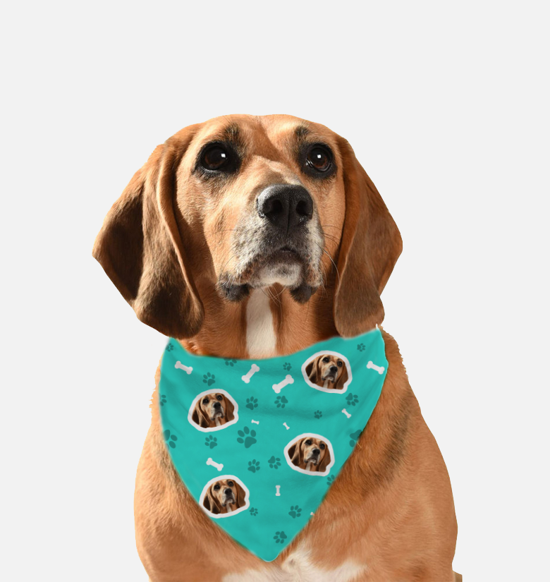 23+ Pet Bandana Mockup PNG Yellowimages - Free PSD Mockup Templates
