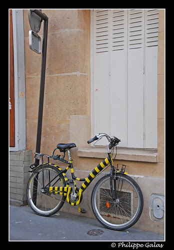 drôle de zèbre
