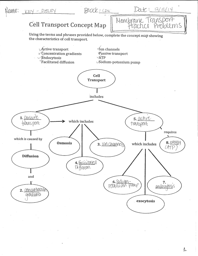 Cell Concept Map Answers