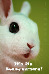 septermber 10th Yuki's bunnyversary funny surprise cute pretty rabbit by isewcute