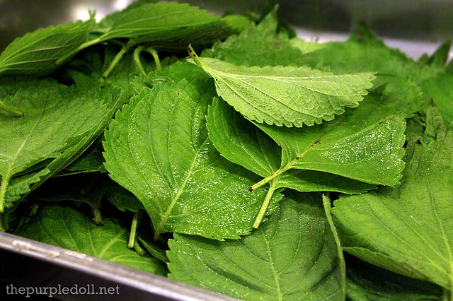 Shiso Leaves
