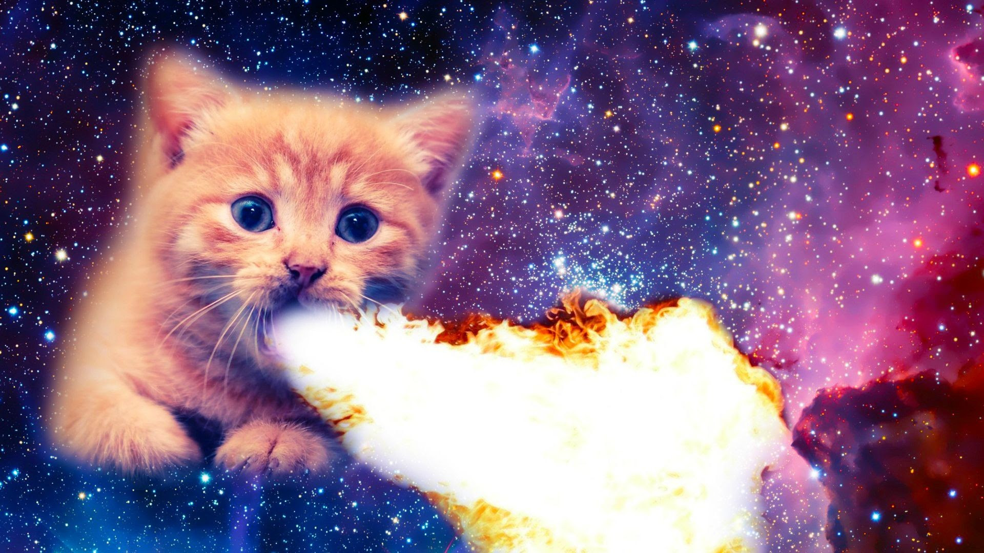 Space Cat Wallpapers - Serious Space Cat 1366x768 : wallpaper : Quality