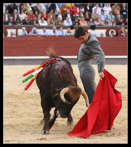 Morante. Desprecio