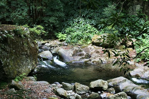 20090613-vs-0367
