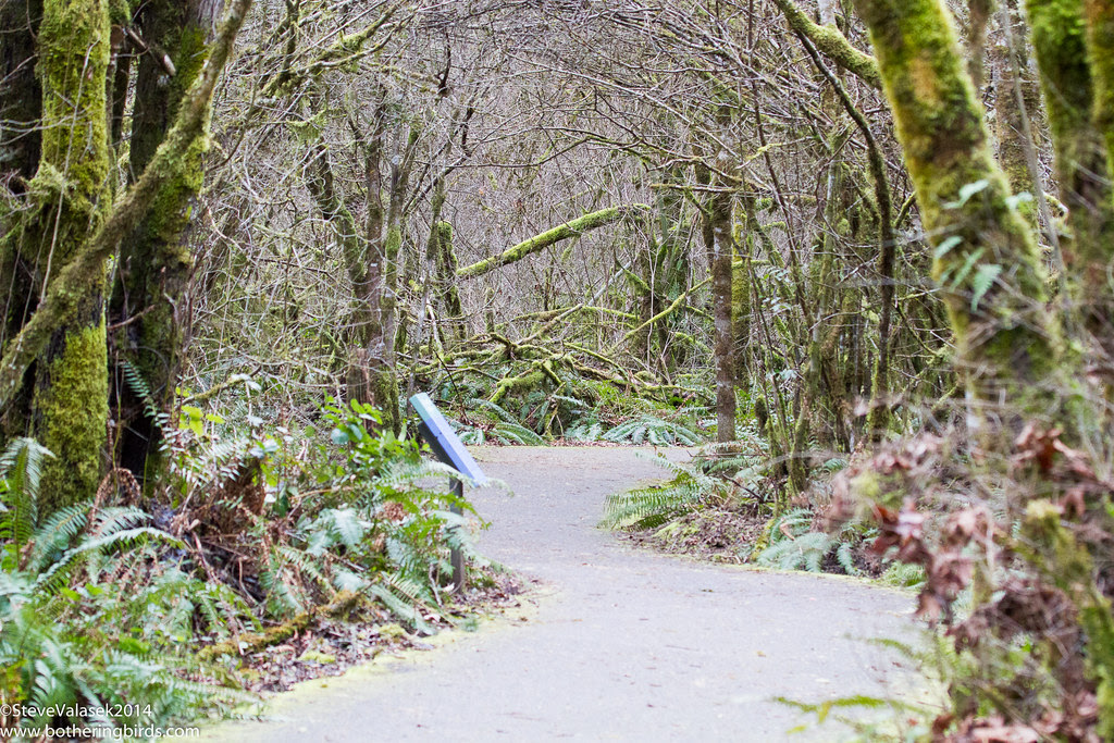 Taulatin Hills Park