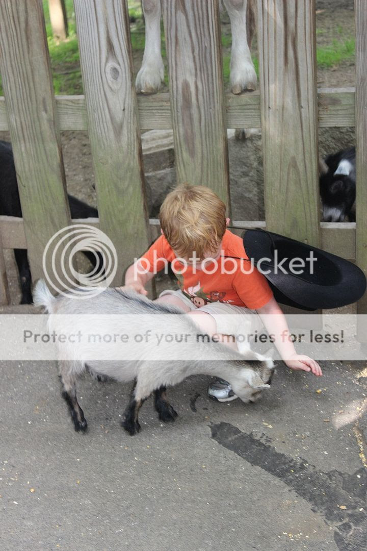 photo Tweetsie116_zps1b32bc72.jpg