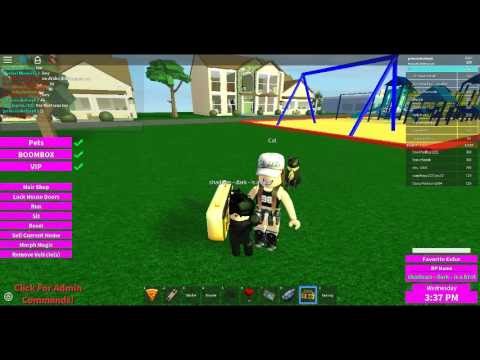 xxtentaction