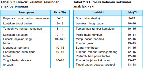 makalah bahasa indonesia tentang paragraf makalah bahasa indonesia tentang paragraf
