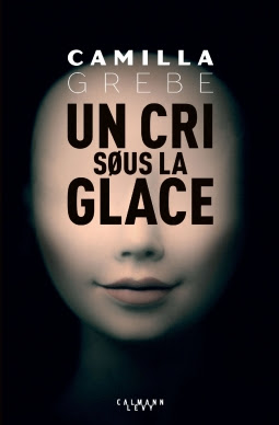 Couverture Un cri sous la glace