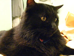 Huggy Bear watching Jeni