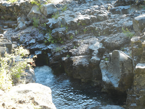 Natural Bridge, The Rogue River, Oregon _ 6490