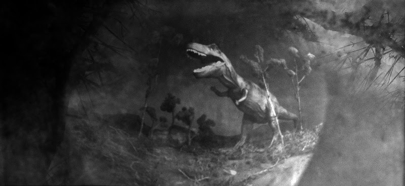 Pinhole photo of Late Cretaceous, taken with Tyrannosaurus photoventris pinhole camera