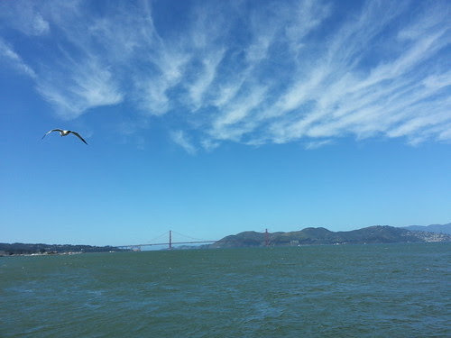 SF Bay View