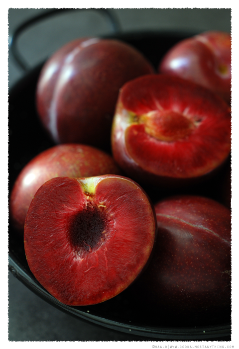 blood plums© by Haalo
