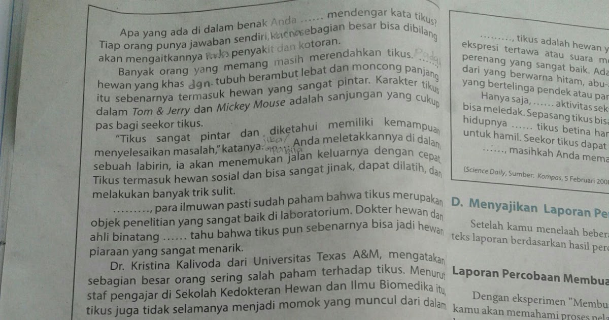 Contoh Teks Laporan Percobaan Membuat Pelangi - Aneka Macam Contoh