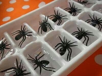 Freeze plastic spiders for drinks