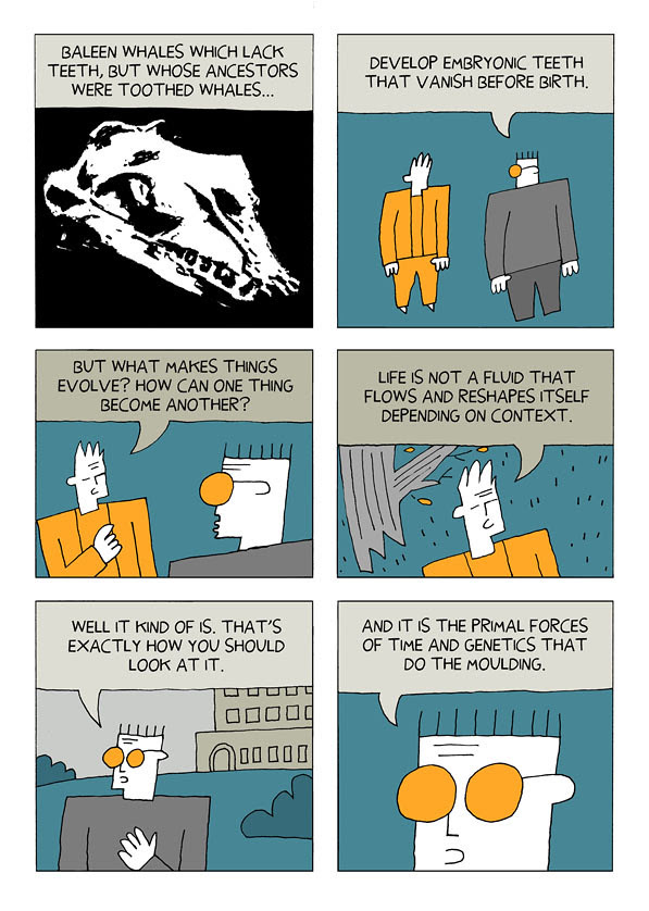 evolution 10