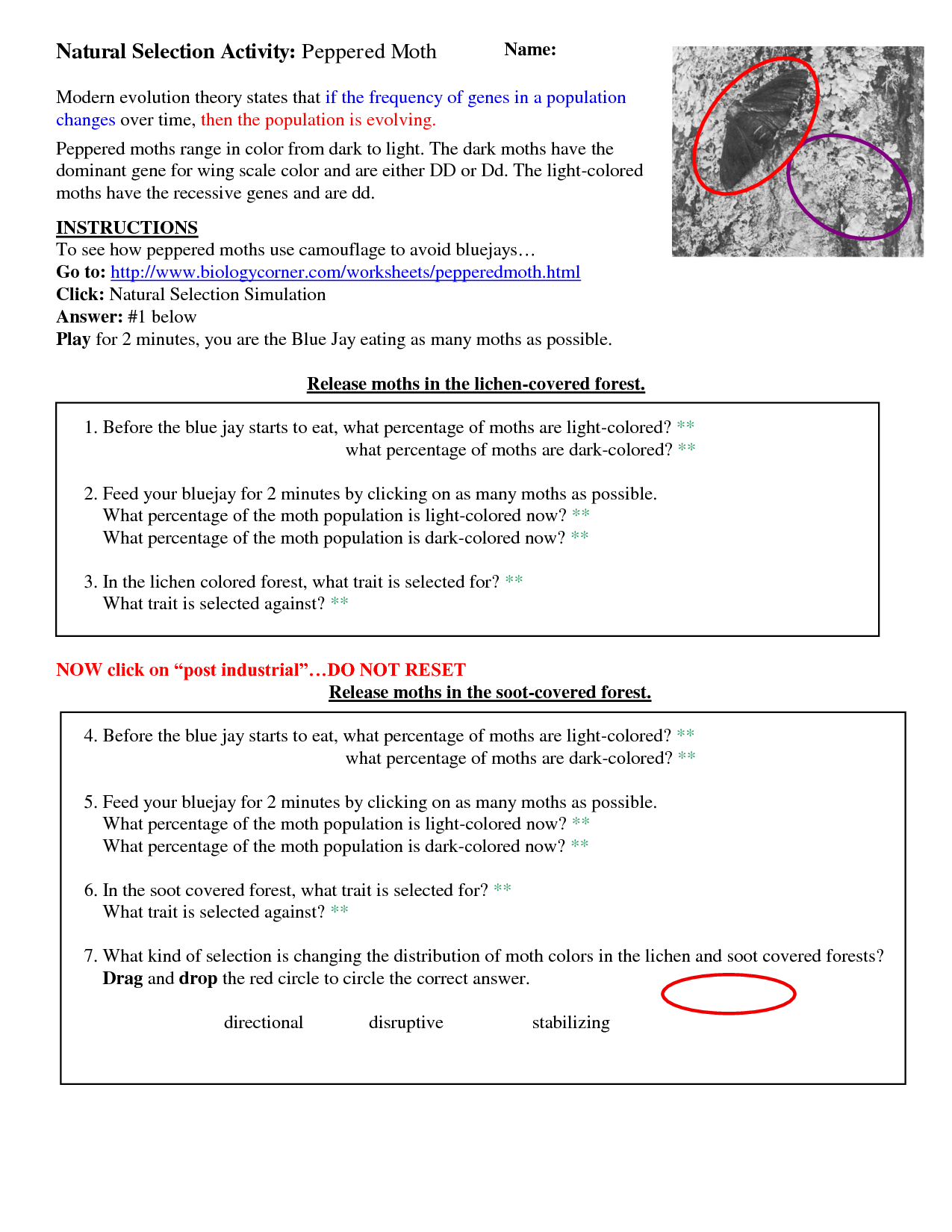 Darwins Natural Selection Worksheet - Worksheet Template Tips And Reviews