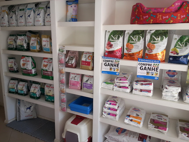 Avaliações sobre Tosa Bebê Pet Center - pet creche 24h em Porto Alegre - Veterinário