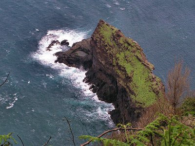 20060225-ap-929