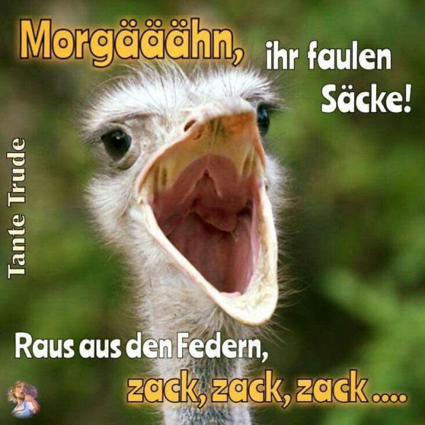 Witzig Tante Trude Lustige Bilder
