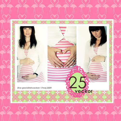 25e graviditetsveckan
