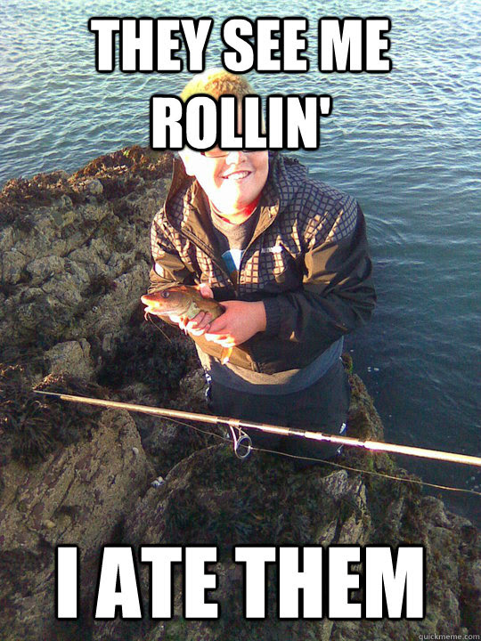They See Me Rollin Meme I Ate Them Photos Idea