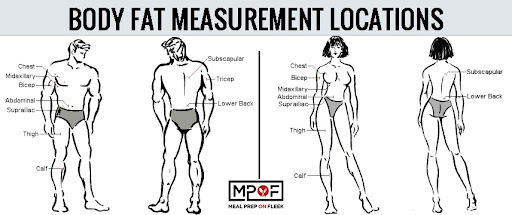 Stocky woman definition