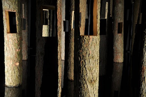 tn_DSC_1089