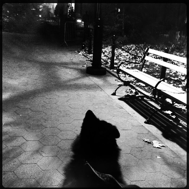 City Nocturne
