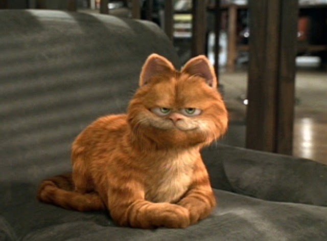 Orange Tabby Cat Garfield - 81021+ Nama Untuk Kucing Comel, Lucu dan Unik