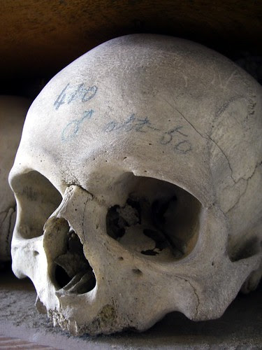 410: Male, About 50 - Ossuary 14