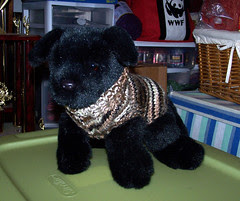 dogsweater4