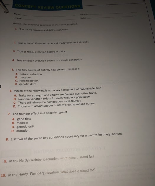 The Hardy-Weinberg Equation Pogil Answer Key - Hardy-Weinberg principle