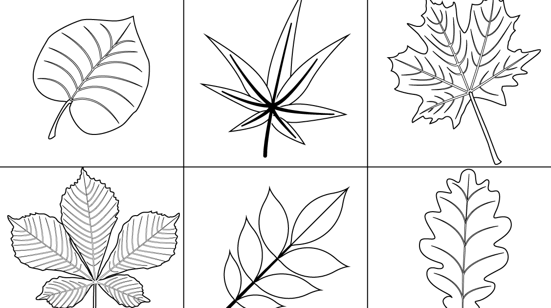 Leaf Coloring Pages To Print