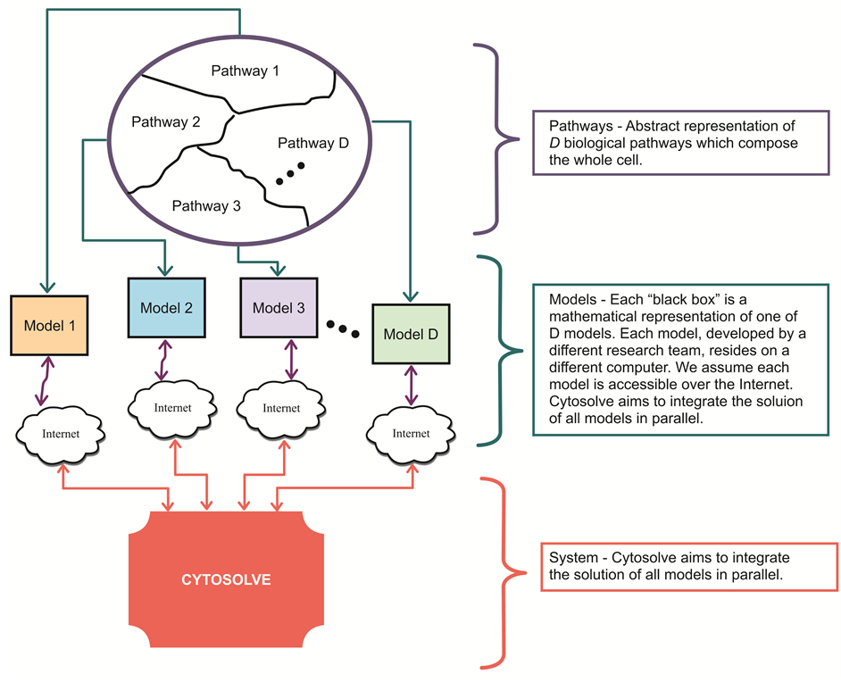Glutathione Case Study