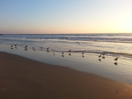 Photos of Venice Beach, Los Angeles