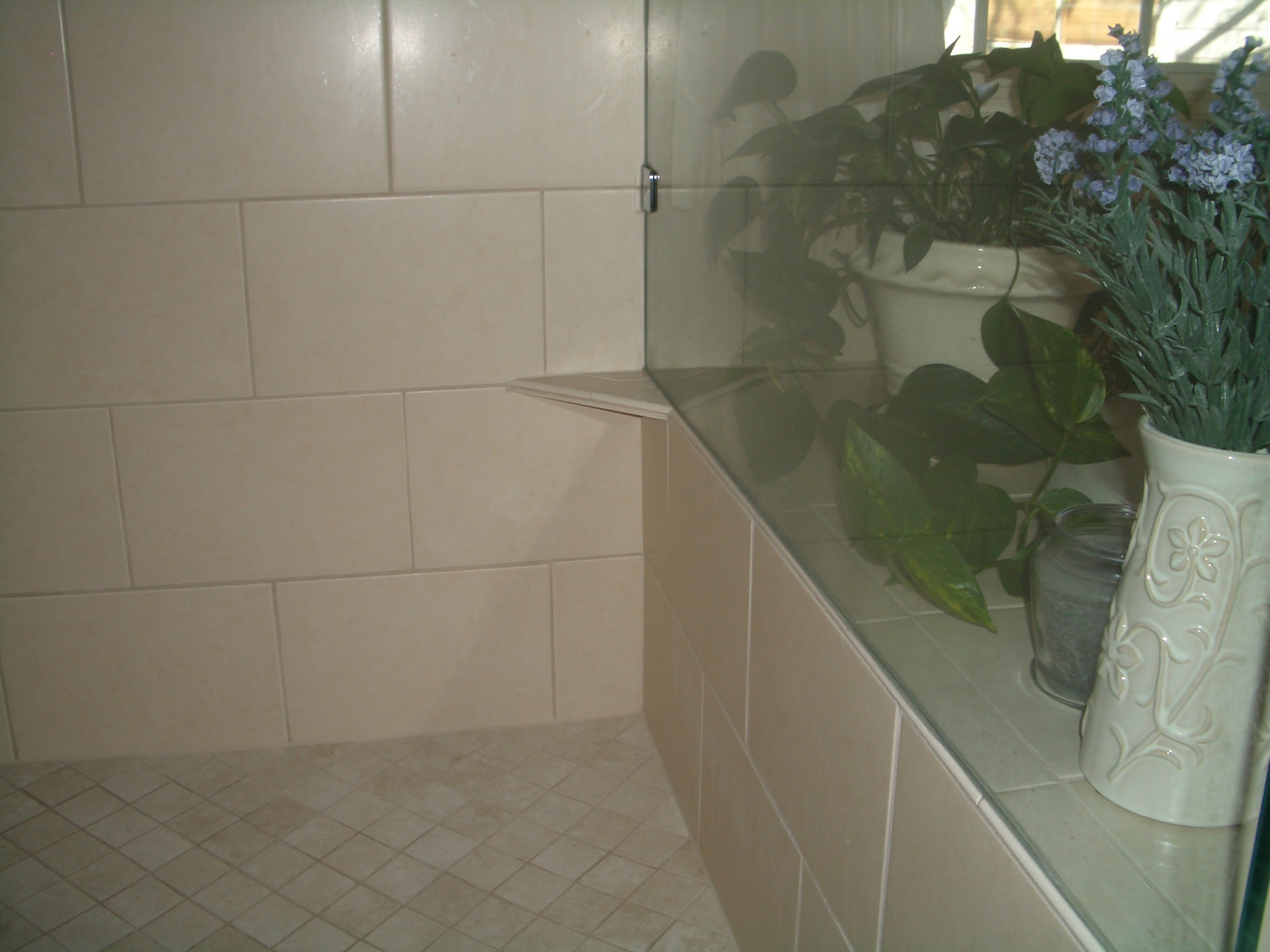 Shower Upgrade Options