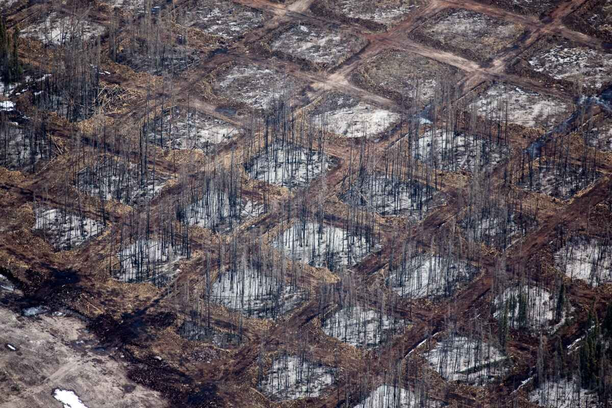 Checkerboard clearing of the overburden at Syncrude Aurora North mine site. Alberta, Canada.