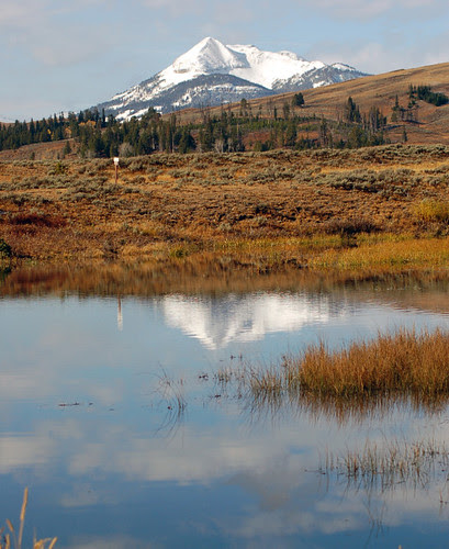 Swan_Lake